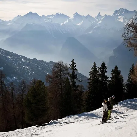 In Valais With Slope Access * Veysonnaz