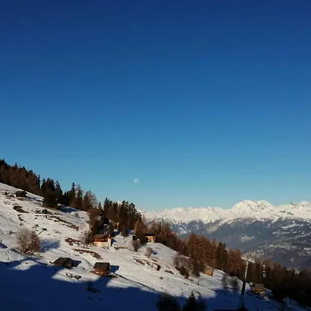 In Valais With Slope Access Apartment